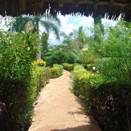 Villas Dora And Holly Diani Beach Exterior foto