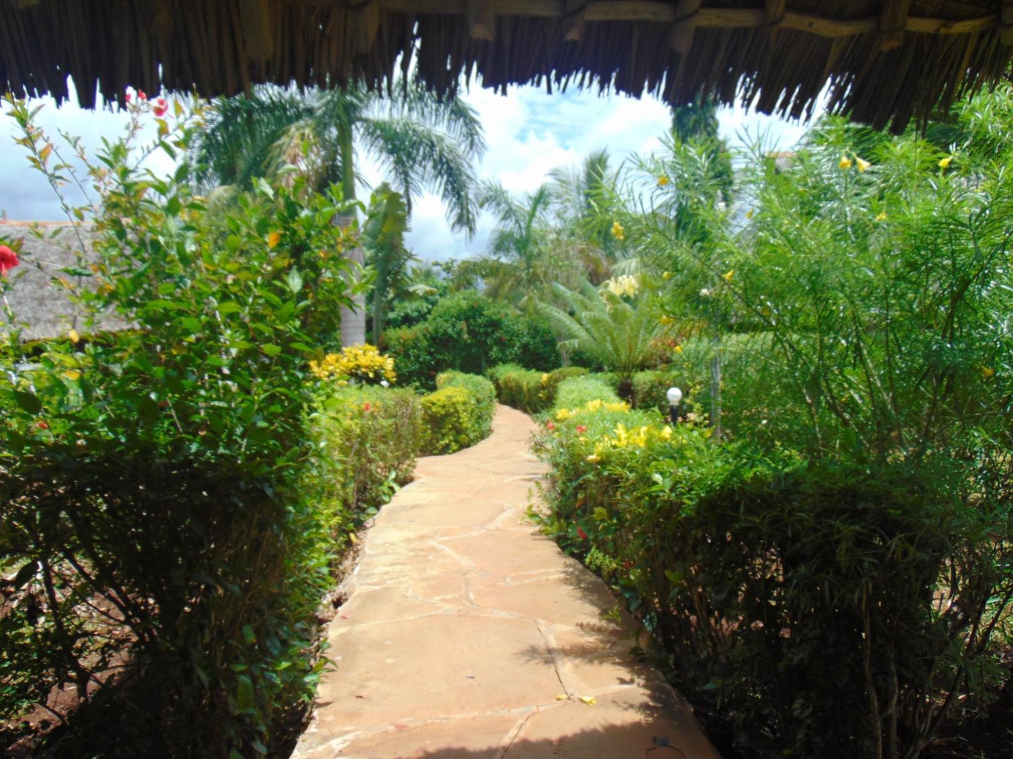 Villas Dora And Holly Diani Beach Exterior foto