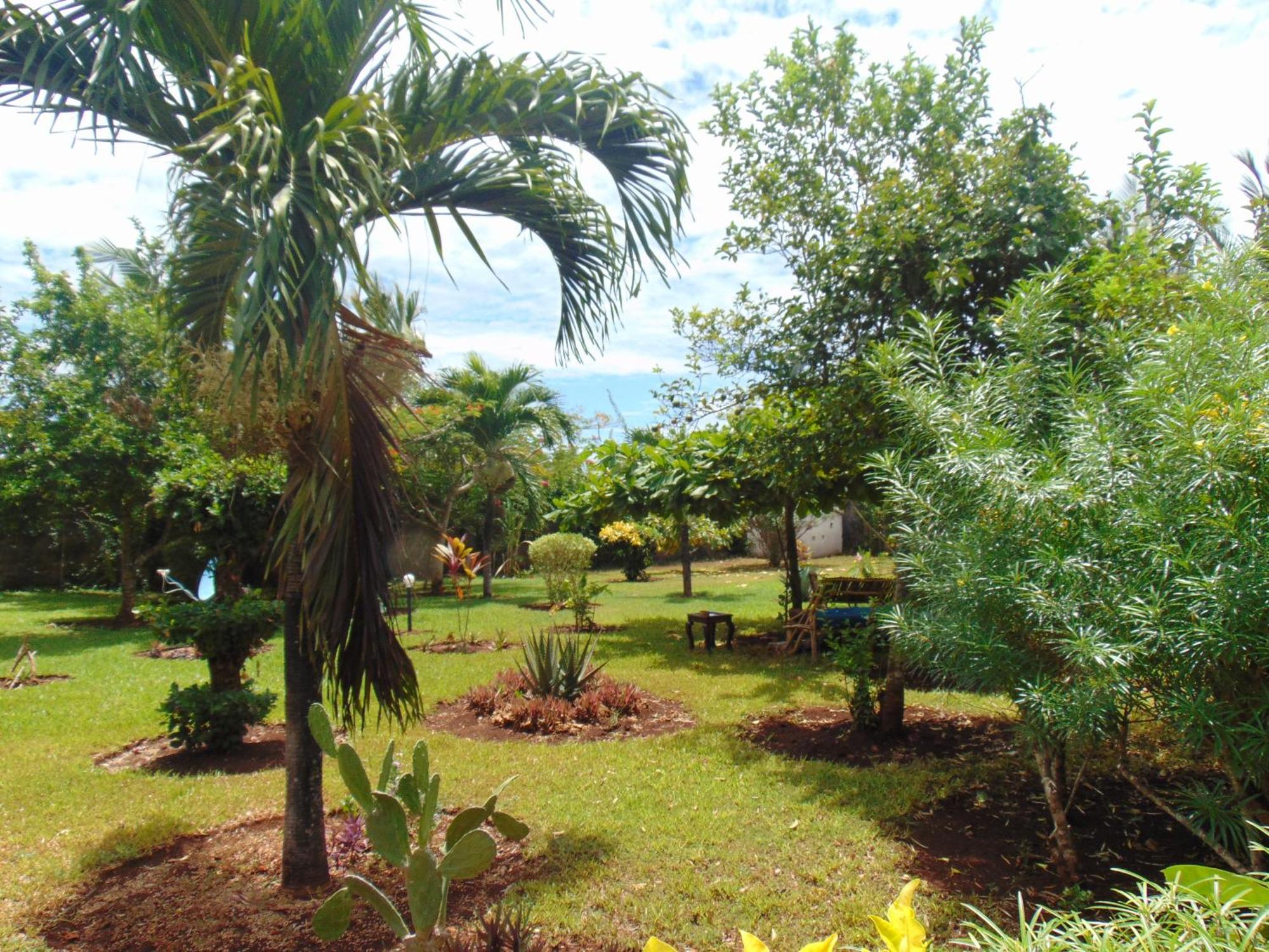 Villas Dora And Holly Diani Beach Exterior foto